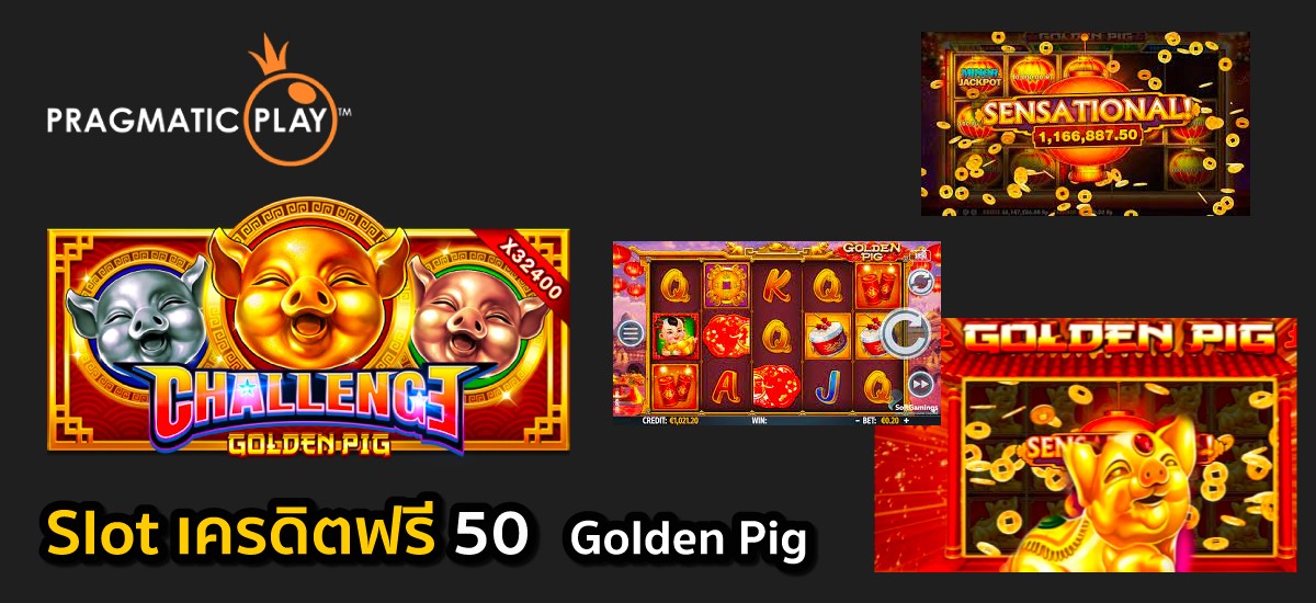 Slot-เครดิตฟรี-50-Golden-Pig